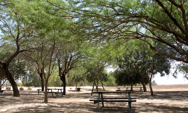 על האש: הפארקים המושלמים למנגל ביום העצמאות