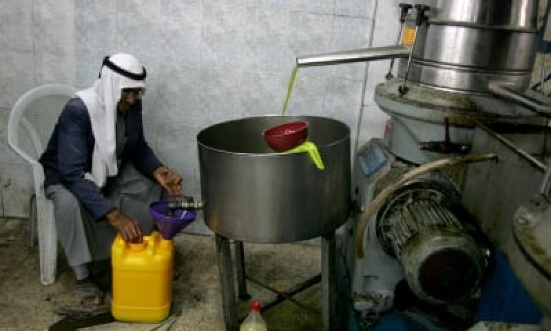 הרבנות: ל"שמן הישועות" של הרב איפרגן אין כשרות