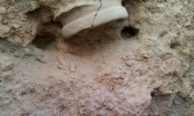 הפרק החסר בתנ"ך: כך נחרבה שילה?