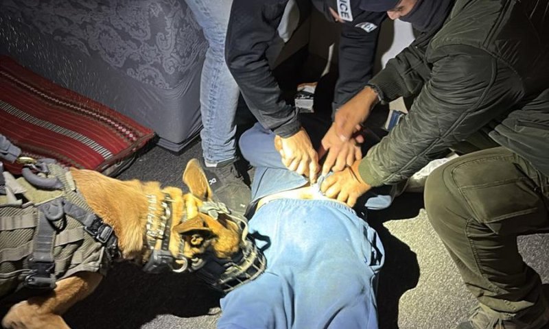 עשרות חשודים נעצרו בנגב: "חלק מהמאבק לבלימת נקמות הדם"