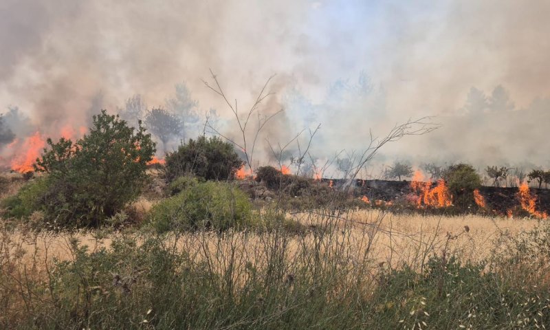 שריפה משתוללת בגוש עציון: כביש 60 נסגר לתנועה