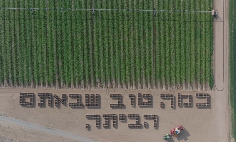 מרגש: חקלאים ממשקי הנגב במחווה לחזרתם של החטופים לישראל