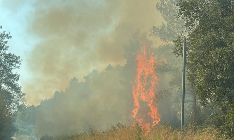 שריפה פרצה ליד בית מאיר, עשרות צוותי כיבוי במקום