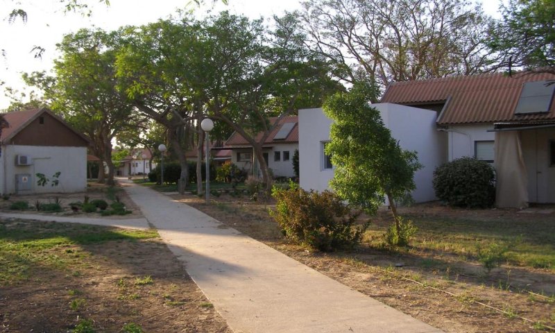 תחקיר קרב קיבוץ סופה: כשל צבאי לצד גבורה מקומית