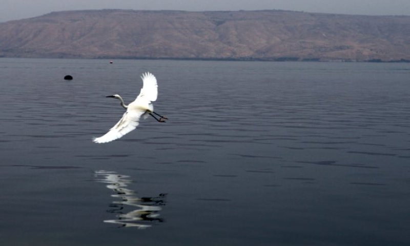 ממשיכה להתמלא: מפלס הכנרת בעוד זינוק מרשים