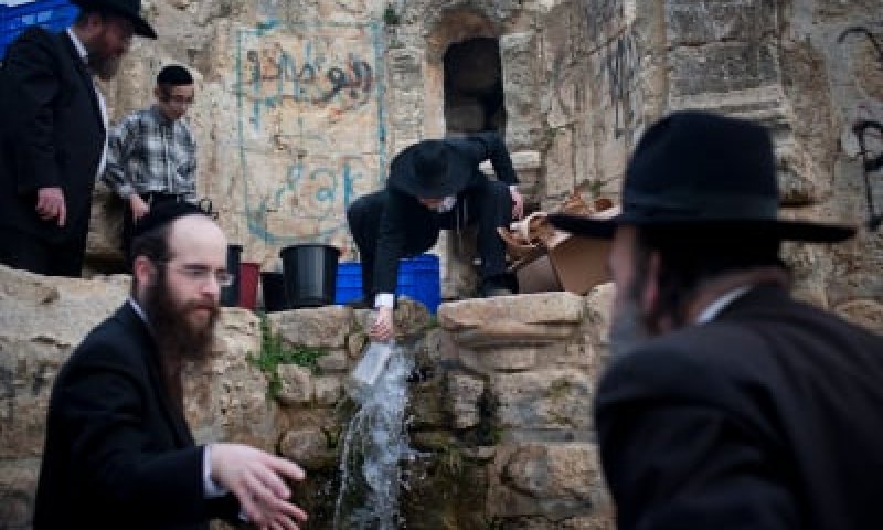 תמונות: שאיבת 'מים שלנו' ממעיין ליד ירושלים
