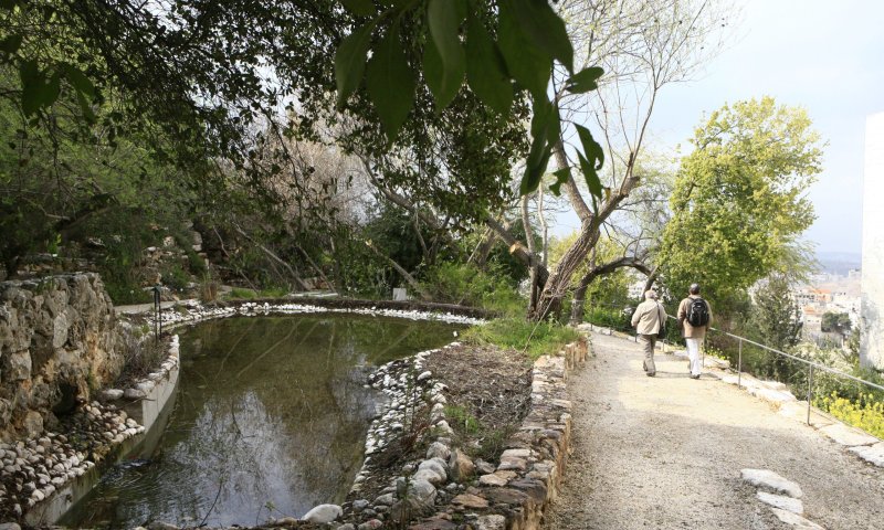 מועצה אזורית גלבוע: עובד זר טבע בבריכת דגים