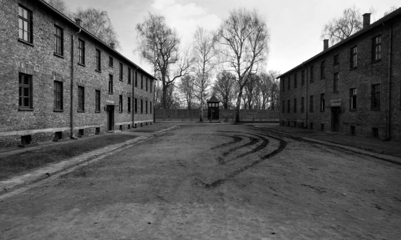 ארה"ב גירשה שומר ממחנות השמדה לגרמניה