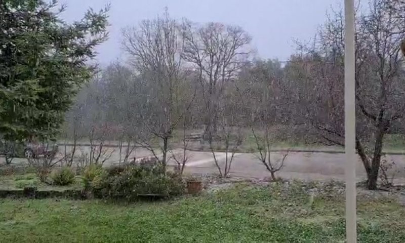 זה הגיע: שלג החל לרדת בצפון רמת הגולן. צפו