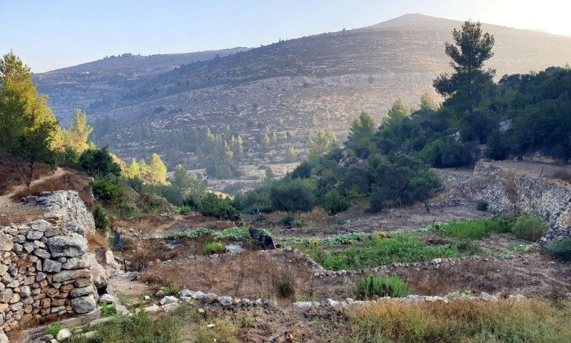 פסטיבל ייחודי: צעדת עלייה ברגל מגוש עציון לירושלים