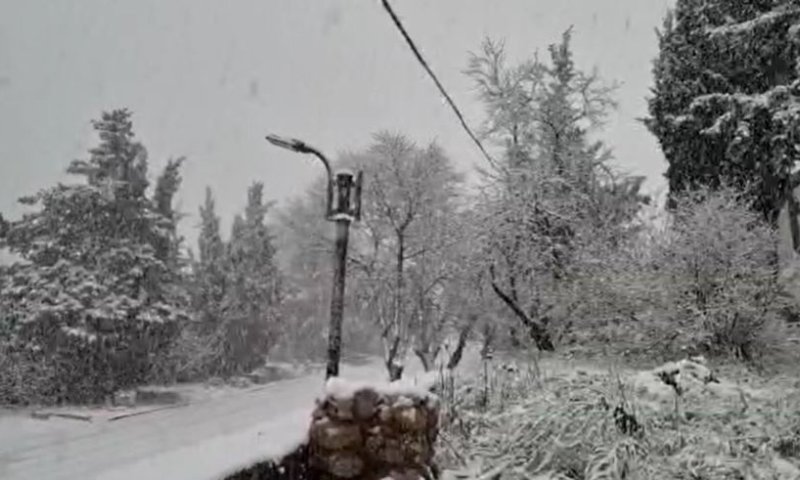 שלג כבד החל לרדת בצפון. צפו בתיעוד