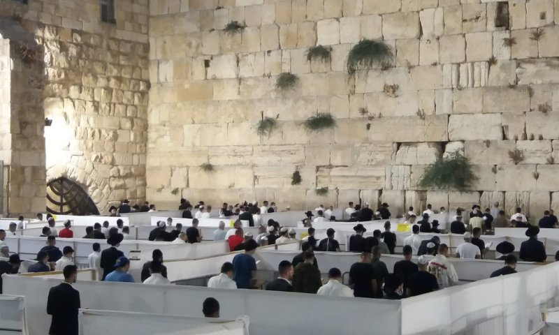 לפי כל ההנחיות: סליחות בקפסולות ברחבת הכותל