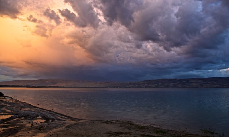 פרשת משפטים | "וּכְעֶצֶם הַשָּׁמַיִם לָטֹהַר"