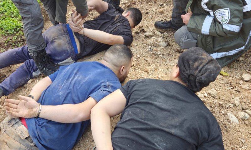 שודדי עתיקות נתפסו בזמן אמת וטענו: "יצאנו לקטוף פטריות"