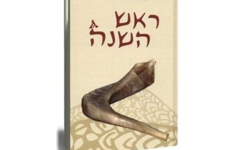 סדרת "באר מרים" צריכה לברר איך מודדים רלוונטיות?