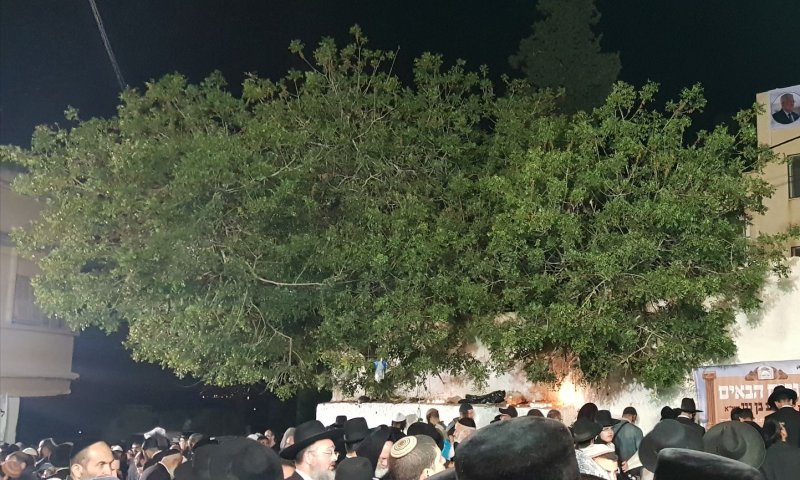 אחת הכניסות הגדולות לקבר יהושע בן נון