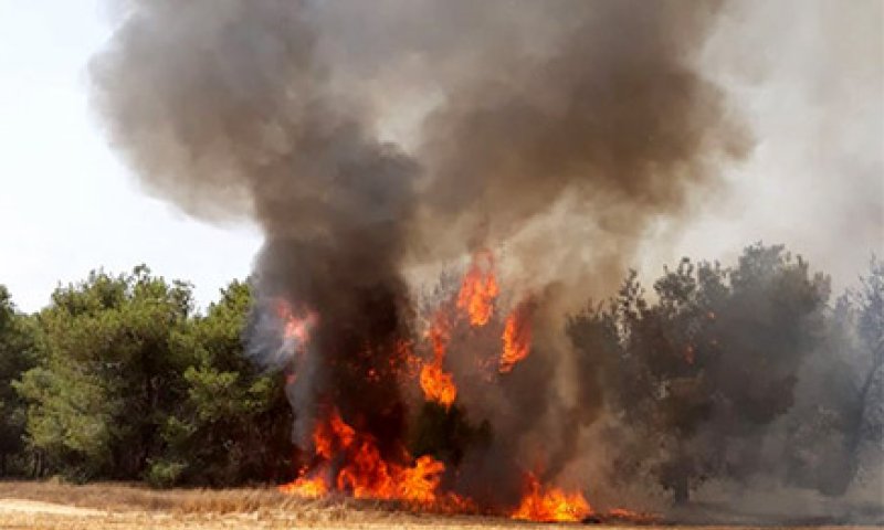 טרור העפיפונים הכה קשות בשבת; צה"ל תקף בעזה