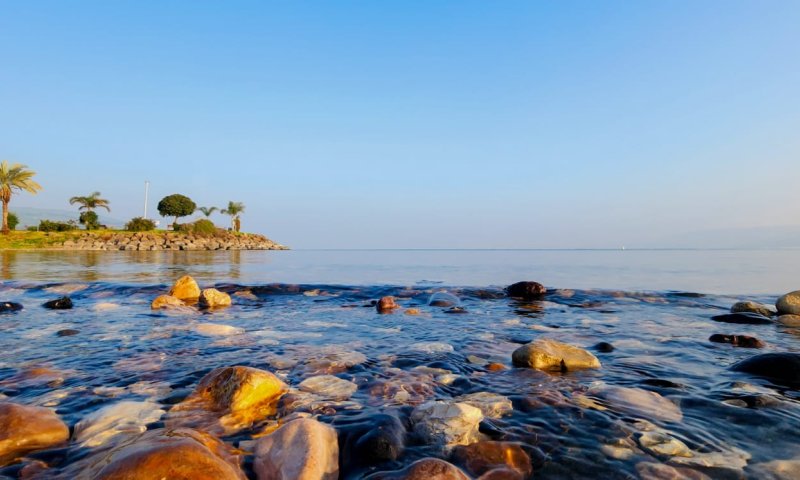 החיידק הנדיר: משרד הבריאות פסל זיהום בכנרת