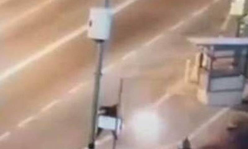 חרפה: ערבי משליך מטווח אפס בקבוק תבערה על לוחם