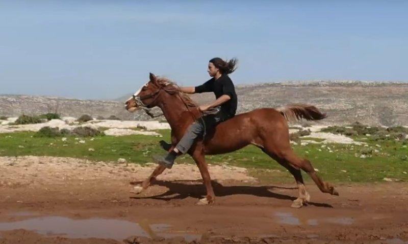החזית בוערת &ndash; והחקלאים שלנו לבד | תרמו עכשיו