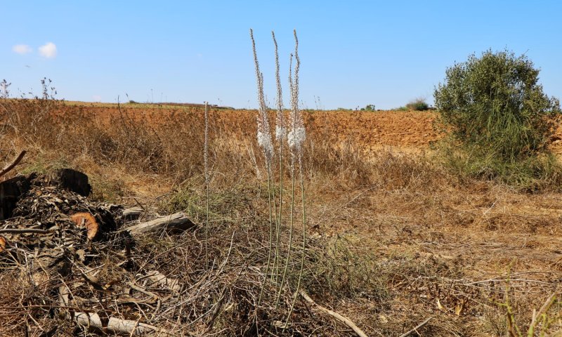 הסתיו כבר פה | צפו בתיעוד מעוטף עזה
