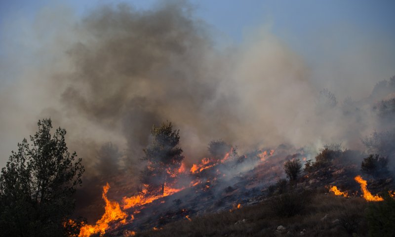 בשל גל השריפות: אזהרה חמורה לתושבי ישראל