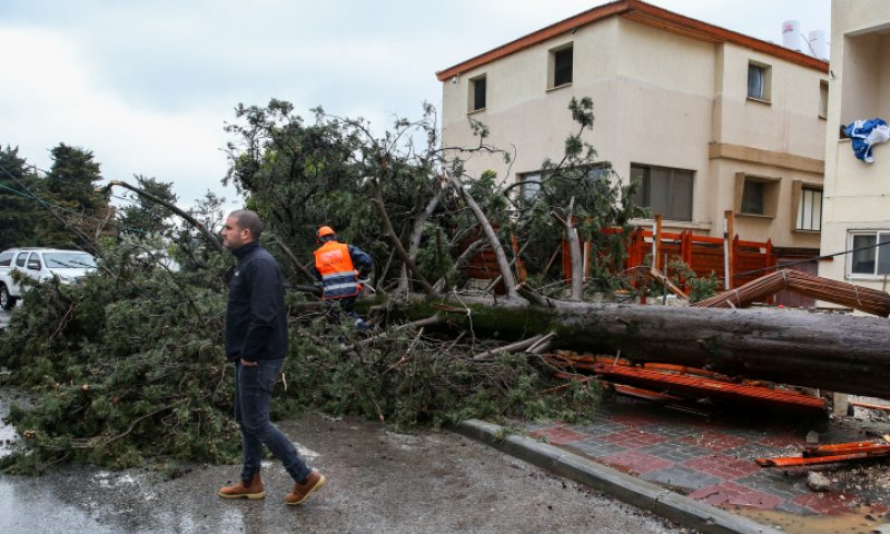 נזקי מזג האוויר: המדריך המלא לנפגעי הסערה