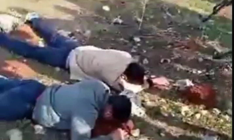 המורדים נוקמים: הוצאות להורג בלתי פוסקות בסוריה