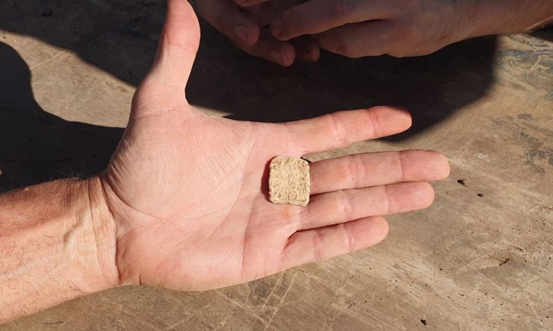 קמע עתיק עם האות א' ופרח לוטוס נמצא בשומרון