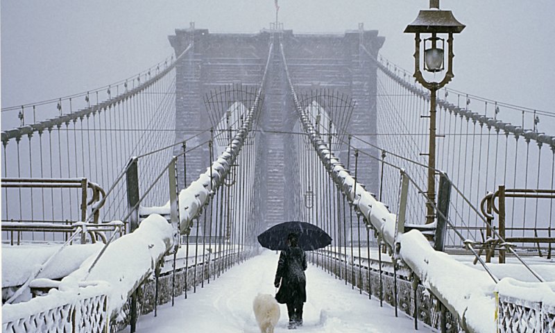קור קטלני: 27 הרוגים בסופה שמשתקת את ארה"ב