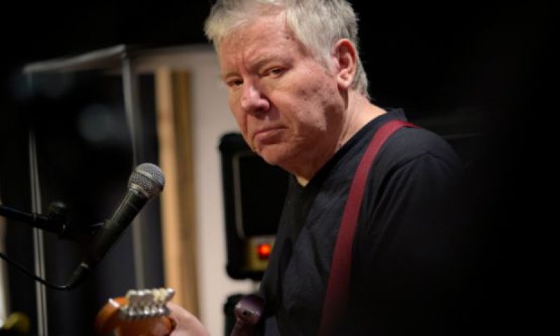 "השאירו לי מעט מאוד מקום, לכן כוורת התפרקה"