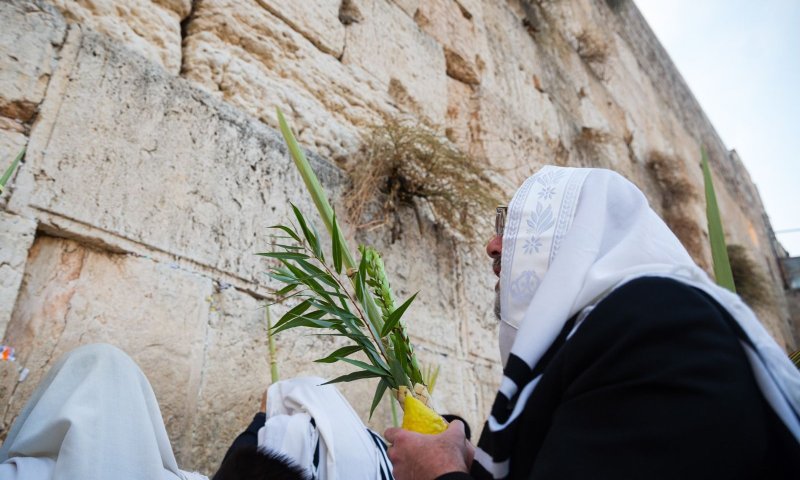 סוכות בכותל: השנה יהיו שני מעמדים של ברכת כהנים