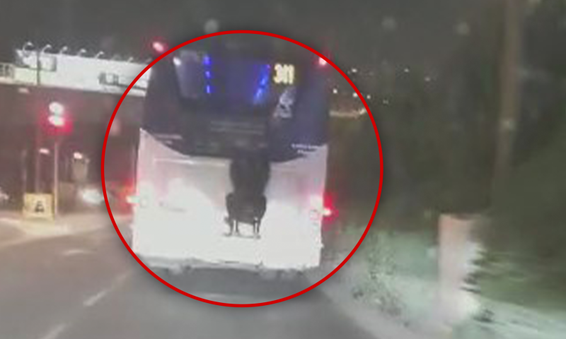 אתגר חדש? צעיר נתלה על אוטובוס בירושלים | תיעוד