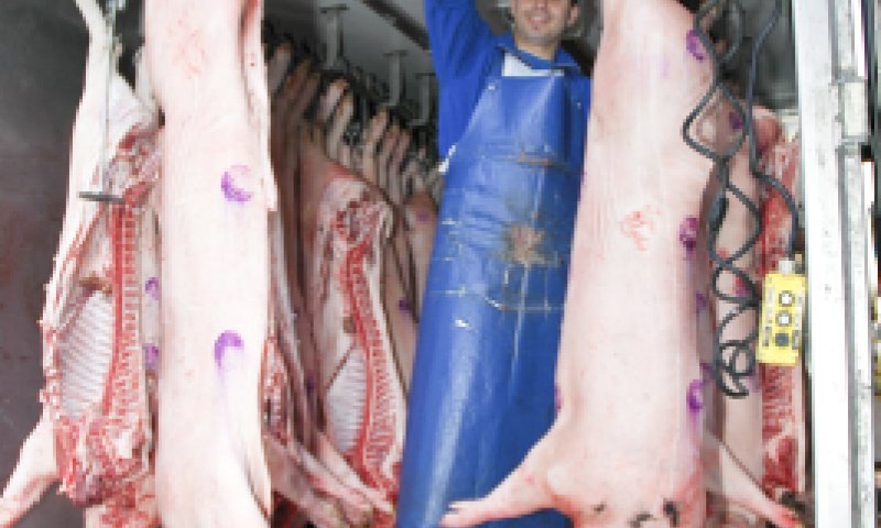 פרשת שמיני: אל תטמטמו את הנפש