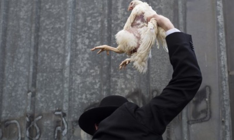 חודש לפני &bull; העיריה הודיעה: לא נאפשר לערוך 'כפרות'