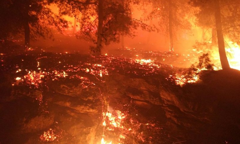 שני נפגעים בדולב ונזק למבנים; תושבים פונו מבתיהם