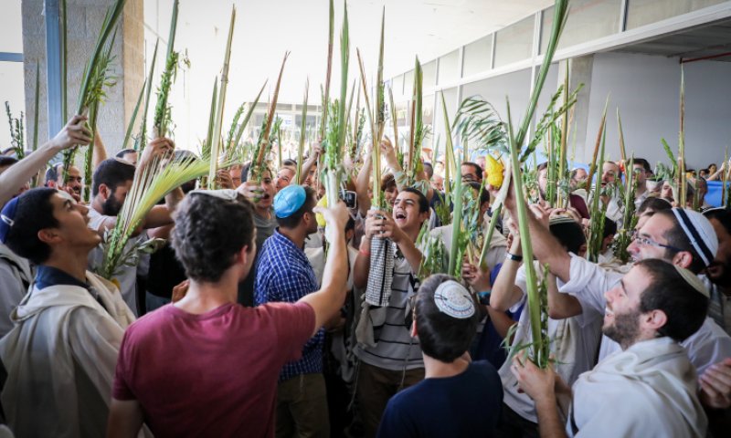 בין כיפור לסוכות, בין המרחב הפרטי למרחב הציבורי