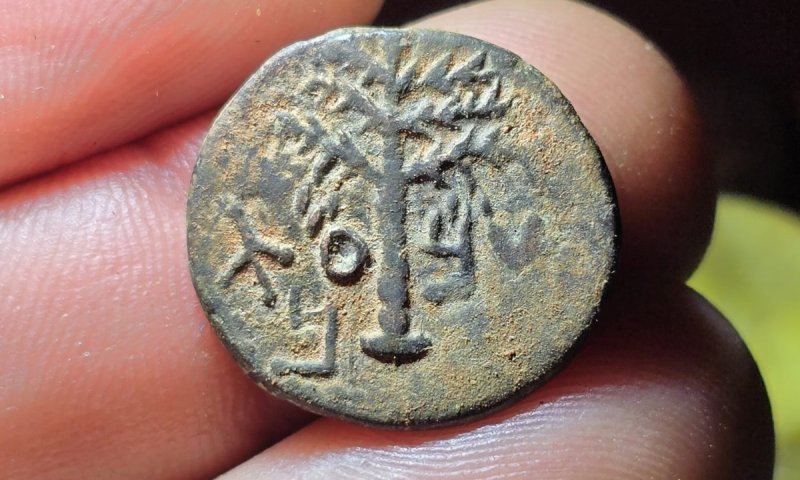 דרישת שלום מבר כוכבא: נמצא מטבע בישוב סוסיא