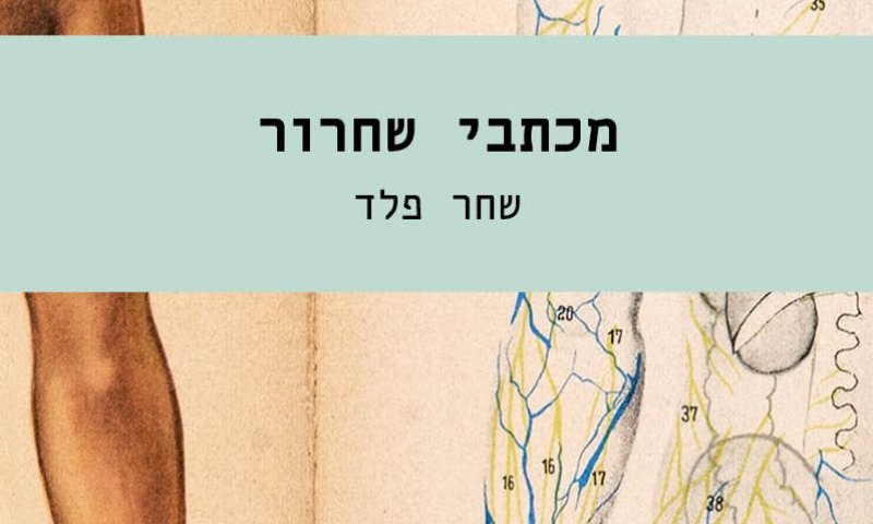 קצת אסקפיזם: המלצות ספרים לשבוע הספר