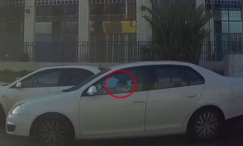 השוטרים נדהמו לגלות מי נוהגת ברכב; צפו