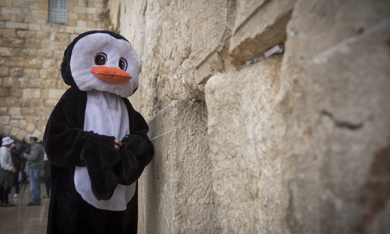 זמני הצום: תענית אסתר תשע"ח וההלכות