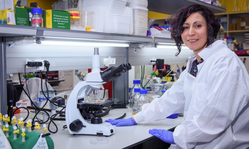 עשרות מיליונים לטובת חיסון נגד הקורונה