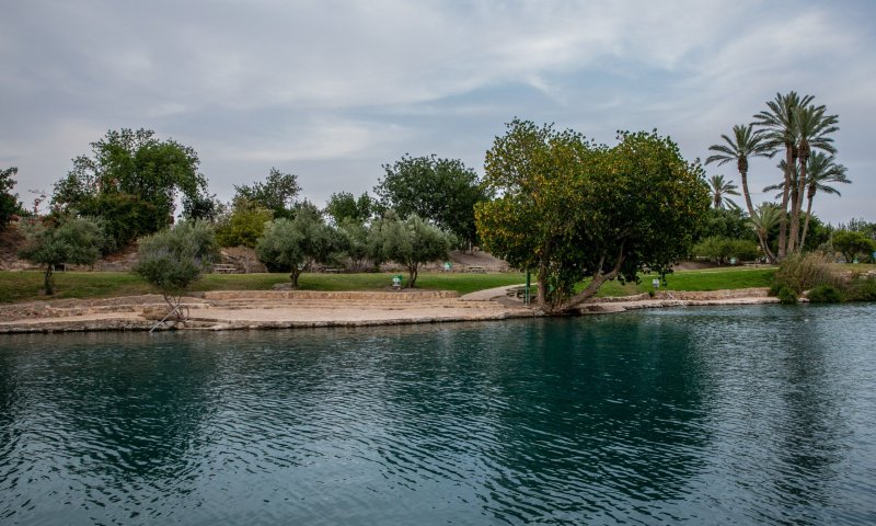 נער בן 15 טבע למוות; המשפחה תתרום את איבריו