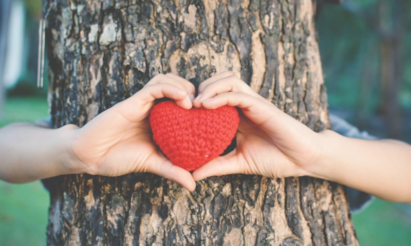 ממתבגרת לאישה: איך לומדים מהי נשיות בריאה ?!