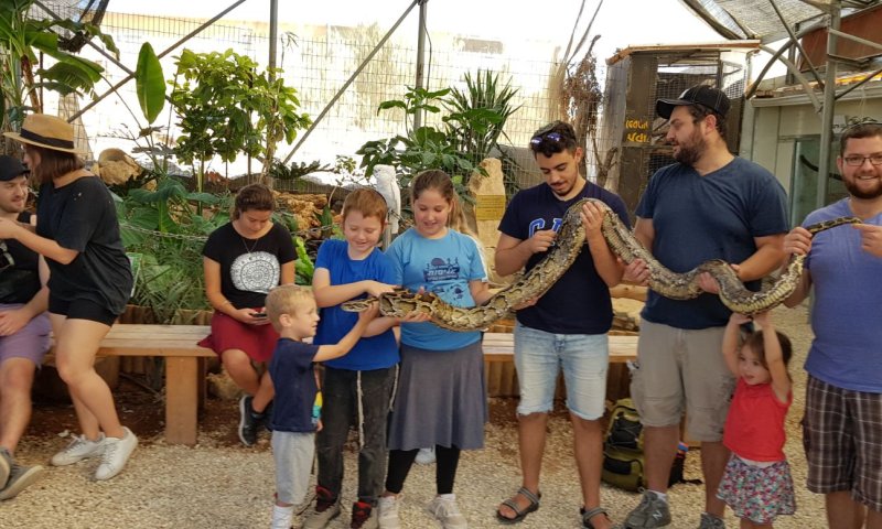 כבר ביום הראשון: אלפים גדשו את אתרי גוש עציון