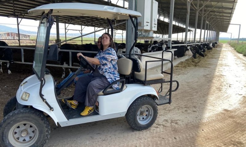 סבתא בישלה עם תום יער חוזרת אל המסך