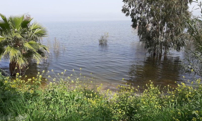 לקראת סופ"ש סוער: מפלס הכנרת רושם עלייה נוספת