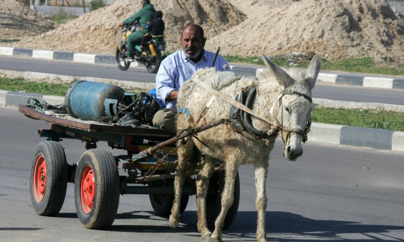הרשות מעלימה את נטישת הפלסטינים לחו"ל