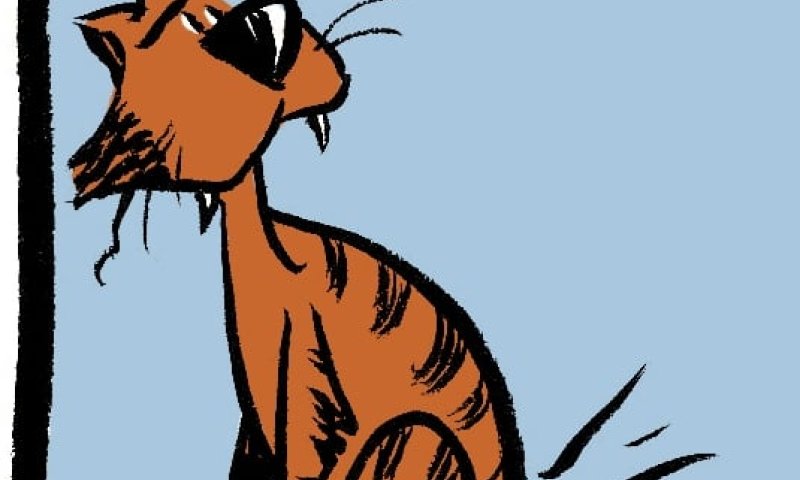 קריקטורה לכבוד שבת: פרשת כי תבוא