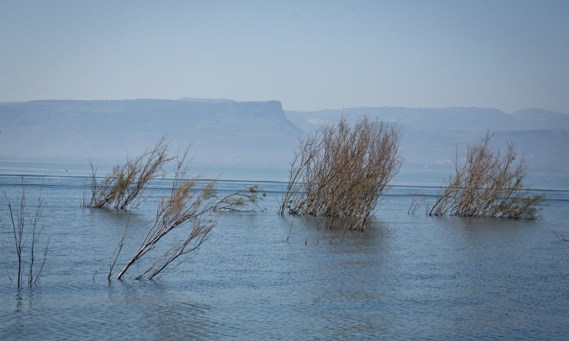 בעקבות הגשם: נתון מעודד מעליית מפלס הכנרת